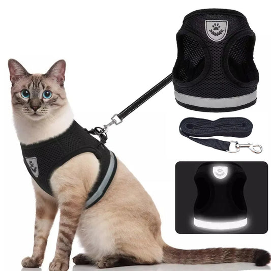 Super Comfy Breathable Cat Harness And Leash